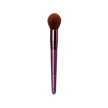 beneficial Pro Blush Brush