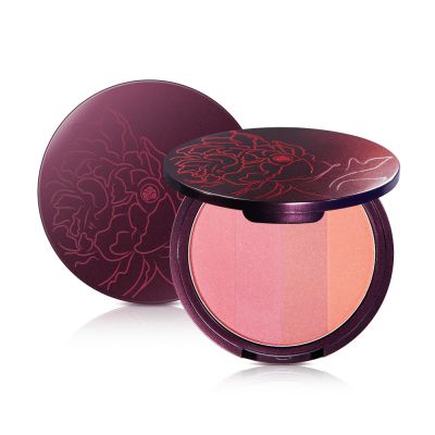 beneficial Gradation Compact Cheek Colours